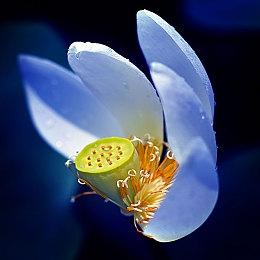 《犹大》将带来类似生化奇兵体验：开放式玩法沉浸体验